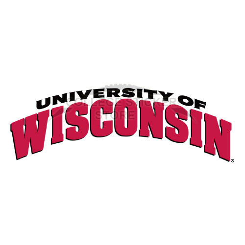 Diy Wisconsin Badgers Iron-on Transfers (Wall Stickers)NO.7025